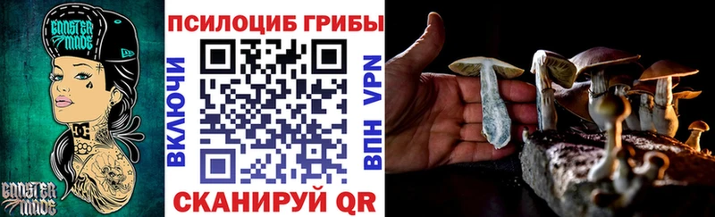 Галлюциногенные грибы прущие грибы  blacksprut ссылки  Шахунья 