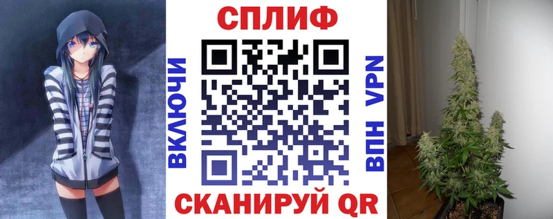 Шишки марихуана марихуана Шахунья